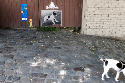 Paris 2014 / Street / street,streetphotography,streetlife,dogs