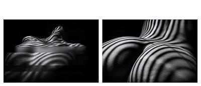 bodyparts I+II - Blog post by Photographer Willi Schwanke / 2023-08-17 22:08