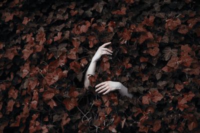 ivy / Conceptual  photography by Photographer Katja Kemnitz ★19 | STRKNG