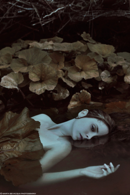 Dissolve / Fine Art  Fotografie von Fotografin MOTH ART ★118 | STRKNG