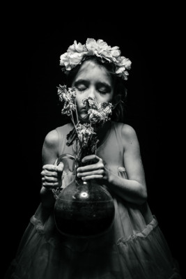 Gone-flower / Black and White  photography by Photographer Lisa Nowinski ★11 | STRKNG