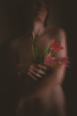 tulips / Fine Art  photography by Photographer Marlize ★1 | STRKNG