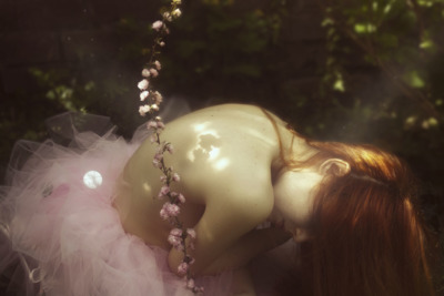 Birth of a Fairy / Nature  photography by Photographer Elisa Scascitelli ★11 | STRKNG