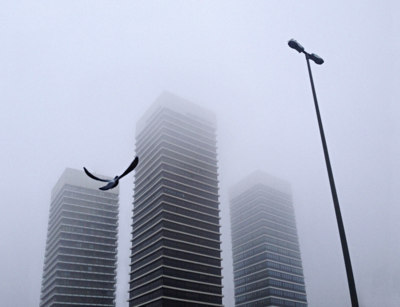 shaky towers / Architecture  photography by Photographer Marco Bekk ★1 | STRKNG