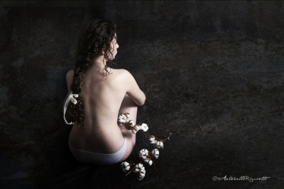 cotton flowers / Mood  photography by Photographer antonellaricciotti ★2 | STRKNG