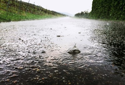 rain in may / Nature  photography by Photographer Monika Keller ★10 | STRKNG