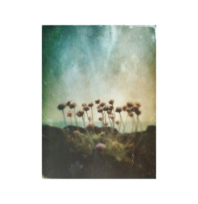 Stories of land and sea ii / Natur  Fotografie von Fotograf mark kinrade ★11 | STRKNG