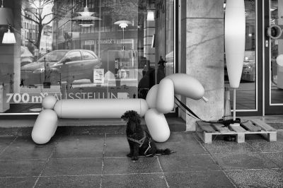 Untitled / Street  photography by Photographer Hans Severin ★12 | STRKNG