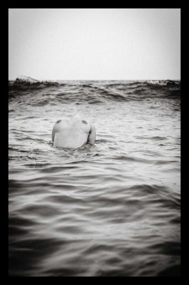 Girl in the Ocean / Nude  photography by Photographer Sven Hasper ★2 | STRKNG