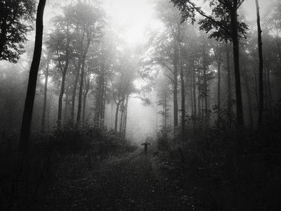 Of Blackbirds And Ghosts / Mood  photography by Photographer Philomena Famulok ★47 | STRKNG