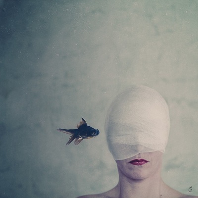 the whisperers... / Fine Art  photography by Photographer Andrea Schwelle ★13 | STRKNG