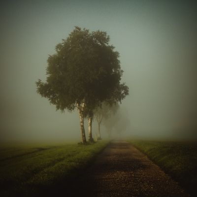 Autumn / Landscapes  Fotografie von Fotografin Renate Wasinger ★39 | STRKNG