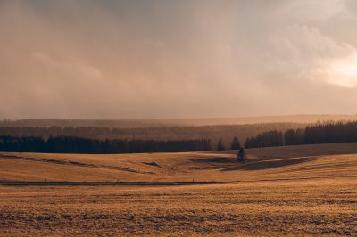 Landschaften im Harz / Landscapes  photography by Photographer Oliver Henze ★4 | STRKNG