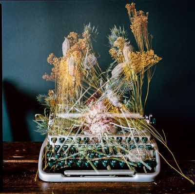 Poesie / Still life  photography by Photographer Andy Komoll ★4 | STRKNG