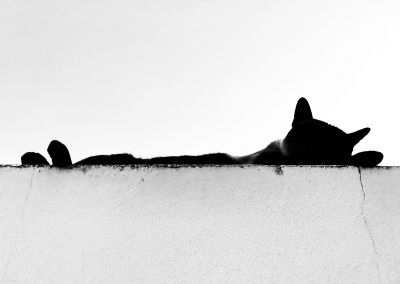 Silhouette / Schwarz-weiss  Fotografie von Fotografin Duda Dias | STRKNG