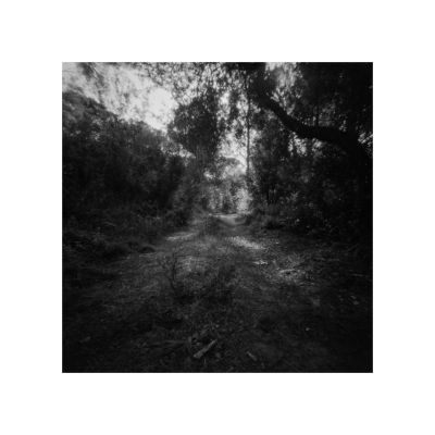 A Pinhole in the Woods / Landscapes  Fotografie von Fotograf Joe Hogan ★3 | STRKNG