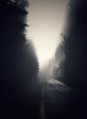 Muse / Mood  photography by Photographer Karim bouchareb ★17 | STRKNG