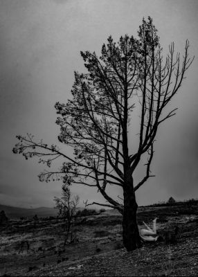 In barren Lands / Black and White  photography by Photographer Jamie Thißen-Betts ★4 | STRKNG