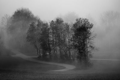 autumn vibes / Landscapes  photography by Photographer Gerhard Gruber | STRKNG
