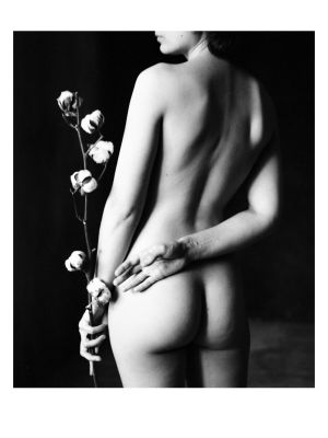 Cotton 1 / Fine Art  photography by Photographer Andy Go ★6 | STRKNG