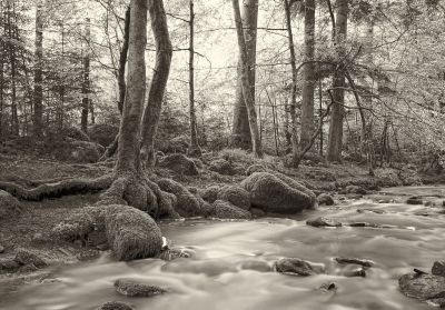 Monbachtal 1 / Landscapes  photography by Photographer AndreasH. | STRKNG
