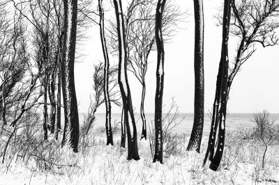 Winterlandschaft an der Ostsee / Black and White  photography by Photographer Heiko Westphalen ★3 | STRKNG