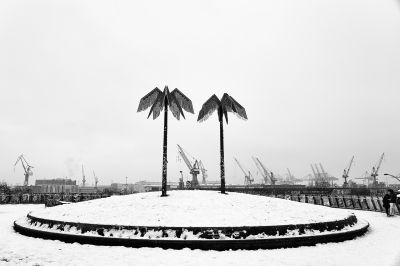 Antonipark, Hamburg / Schwarz-weiss  Fotografie von Fotograf Heiko Westphalen ★3 | STRKNG
