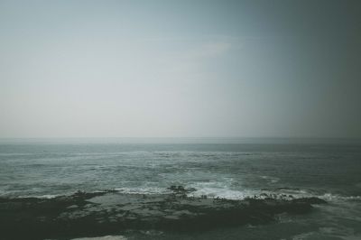Rocks. Kelp. Horizon / Wasserlandschaften  Fotografie von Fotograf Kris Taylor ★2 | STRKNG