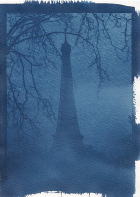 » #6/8 « / cyanotype / Blog post by <a href="https://martinagrabinsky.strkng.com/en/">Photographer Martina Grabinsky</a> / 2022-01-16 11:06