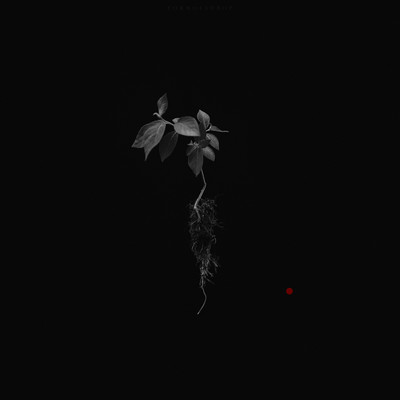 » #1/3 « / Red Spots / Blog post by <a href="https://strkng.com/en/photographer/formofadrop/">Photographer Formofadrop</a> / 2018-05-02 22:53