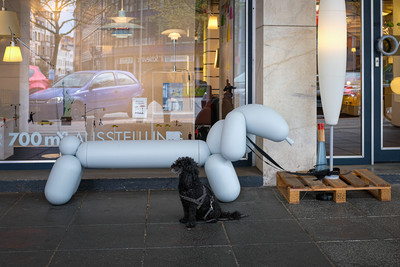 Hannover 2017 / Street / street,streetphotography,streetlife,dogs