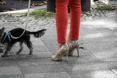 Berlin 2013 / Street / street,streetphotography,streetlife,dogs