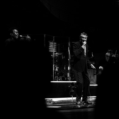 Bryan Ferry #2 / Fotojournalismus