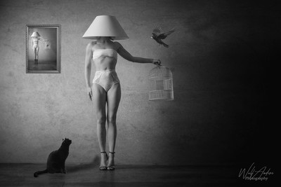 » #2/3 « / The Lamp / Blog post by <a href="https://strkng.com/en/photographer/wolf+anders+photography/">Photographer Wolf Anders Photography</a> / 2019-02-19 07:28