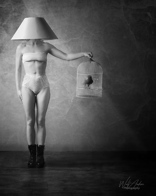 » #3/3 « / The Lamp / Blog post by <a href="https://strkng.com/en/photographer/wolf+anders+photography/">Photographer Wolf Anders Photography</a> / 2019-02-19 07:28