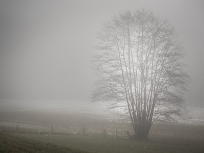 » #5/9 « / morning fog / Blog post by <a href="https://strkng.com/en/photographer/bildausschnitte-at/">Photographer bildausschnitte.at</a> / 2019-11-07 20:39