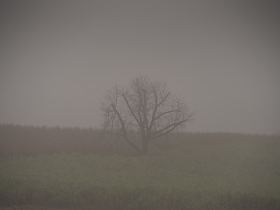 » #7/9 « / morning fog / Blog post by <a href="https://strkng.com/en/photographer/bildausschnitte-at/">Photographer bildausschnitte.at</a> / 2019-11-07 20:39