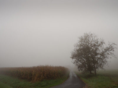 » #8/9 « / morning fog / Blog post by <a href="https://strkng.com/en/photographer/bildausschnitte-at/">Photographer bildausschnitte.at</a> / 2019-11-07 20:39