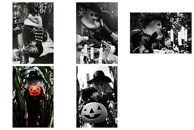 Trick or Treat - Blog post by Photographer Claudia Hantschel / 2020-09-12 12:05