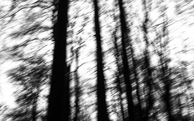 » #3/7 « / Timeless atmosphere / Blog-Beitrag von <a href="https://strkng.com/de/fotograf/marian+hummel/">Fotograf Marian Hummel</a> / 16.02.2019 12:00