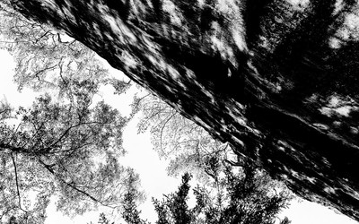 » #5/7 « / Timeless atmosphere / Blog-Beitrag von <a href="https://strkng.com/de/fotograf/marian+hummel/">Fotograf Marian Hummel</a> / 16.02.2019 12:00 / Landscapes