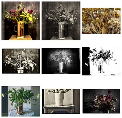 Flowers of confinement - Blog-Beitrag von Fotograf GM Sacco / 20.04.2020 20:28