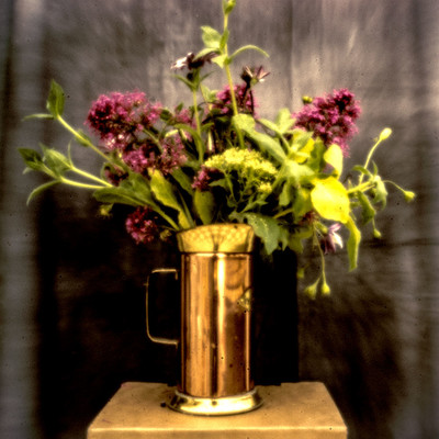 » #1/9 « / Flowers of confinement / Blog post by <a href="https://strkng.com/en/photographer/gm+sacco/">Photographer GM Sacco</a> / 2020-04-20 20:28