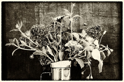 » #4/9 « / Flowers of confinement / Blog post by <a href="https://strkng.com/en/photographer/gm+sacco/">Photographer GM Sacco</a> / 2020-04-20 20:28