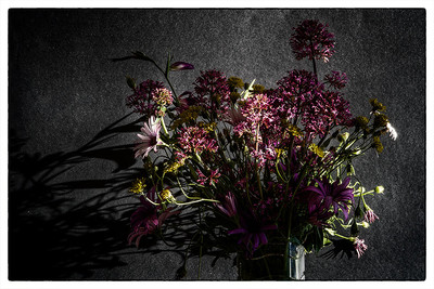 » #9/9 « / Flowers of confinement / Blog post by <a href="https://strkng.com/en/photographer/gm+sacco/">Photographer GM Sacco</a> / 2020-04-20 20:28