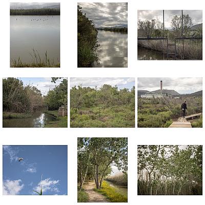 s&#039;Albufera, Platja de Muro, Mallorca - Blog-Beitrag von Fotograf Joe Hogan / 08.05.2023 23:24