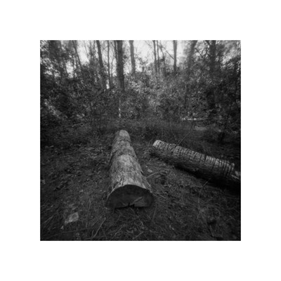 » #7/9 « / A Pinhole in the Woods / Blog-Beitrag von <a href="https://strkng.com/de/fotograf/joe+hogan/">Fotograf Joe Hogan</a> / 13.02.2024 13:02