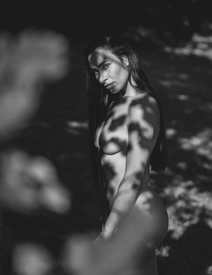 Lola / Nude / woman,model,nude,outdoors