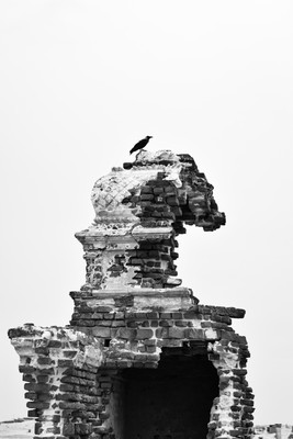 King of ruins / Lost places / abandoned,traveldiary,india,dhanushkodi,ruins,blackandwhite