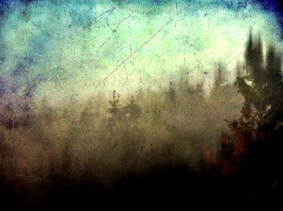 » #3/4 « / &quot;Dark forest&quot; / Blog-Beitrag von <a href="https://strkng.com/de/fotograf/mariusz+janoszek/">Fotograf Mariusz Janoszek</a> / 02.07.2021 20:10